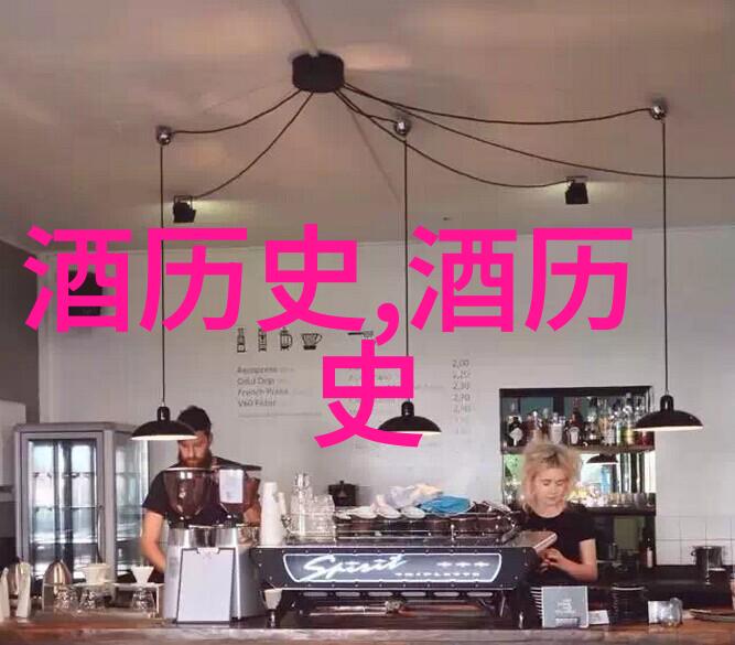 金枫酒业股票市盈率为啥那么高